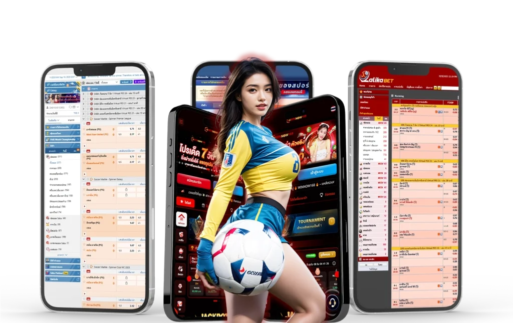 แทงกีฬาบนเว็บ-winnow168